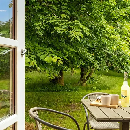 Spacious With Terrace, Wood-burning Stove And Large Plot Ferienhaus Fjerritslev