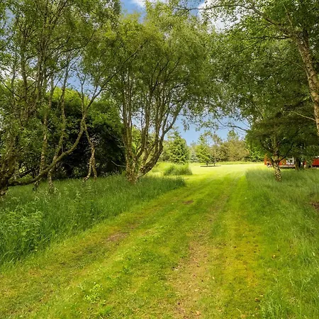 Spacious With Terrace, Wood-burning Stove And Large Plot Ferienhaus Fjerritslev